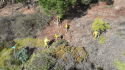 California personnel working on emergency projects to protect wildfire-vulnerable communities 2019 CAL Fire