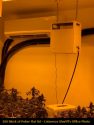 Illegal grow bust at Lake Tulloch home in the Copperopolis area