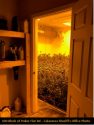 Illegal grow bust at Lake Tulloch home in the Copperopolis area