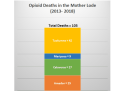 Mother Lode Opioid Deaths 2013-2018