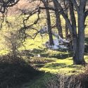 Columbia Airport Plane Crash