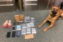 Drugs discovered in the bust by K9 Thor