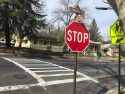 New pedestrian safety enhancements at Lytton and South Washington Street