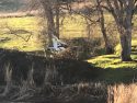 Plane crash site in Columbia off Springfield Road near the airport