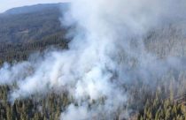 Prescribed Fire Near Calaveras Big Trees State Park