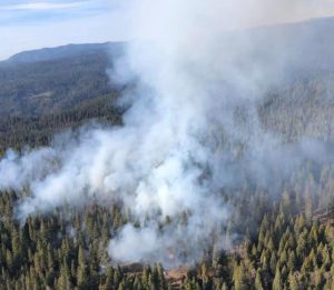 Prescribed Fire Near Calaveras Big Trees State Park