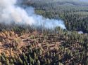 Prescribed Fire Near Calaveras Big Trees State Park