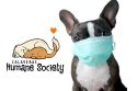 Calaveras Humane Society closes shelter due to COVID-19