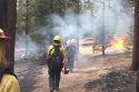 Pile burning at Swinging Bridge trail head at the end of Chilnualna Falls Road in Wawona