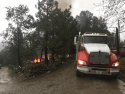 Fire on Old Buchanan Mine Road