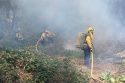 South Creekside Drive vegetation fire
