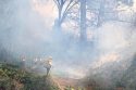 South Creekside Drive vegetation fire