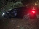 Suspects car found in ditch