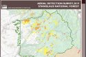 Aerial Detection Survey from 2019 of hazard trees in the Stanislaus National Forest