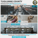 restaurants, retail, pet grooming, office-based business