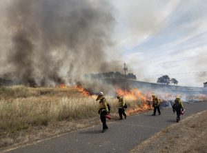 Planned Burn Near New Melones