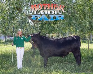 Belle Bloom Foothill 4-H Beef exhibitor