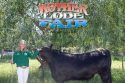 Belle Bloom Foothill 4-H Beef exhibitor