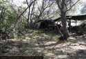 Camp Nine - Skunk Gulch remote grow site bust June 2020 CCSO Photo