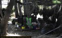 Camp Nine - Skunk Gulch road grow bust camp and drying area June 2020 CCSO Photo