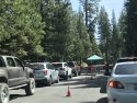 Traffic - Pinecrest