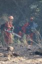 Firefighters working the Knights Fire in Knights Ferry on Friday, June 6 2020
