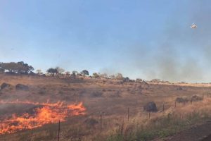 Knights Fire in Stanislaus County