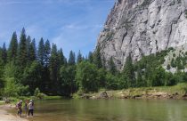 Yosemite National Park