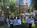 Black Lives Matter Protest In Sonora