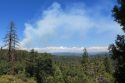 Prescribed Fire At Calaveras Big Trees