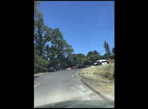Highway 108 Crash