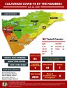 Calaveras Covid by the Numbers July 24 2020 CCPH