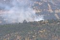 Fire in Copperopolis area off Highway 4 on Horseshoe lane