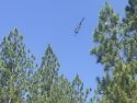 PG&E Helicopter Inspects Power Lines