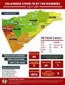 Calaveras COVID by the Numbers July 21 2020