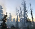 Bell Fire