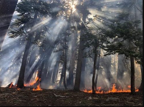 Blue Jay Fire In Yosemite - 2020