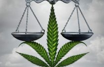 CA Cannabis Control Image