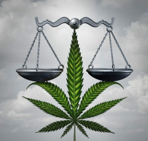 CA Cannabis Control Image