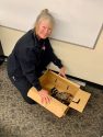 CAL Fire TCU Capt. Stephanie Hagstrom rescues injured hawk