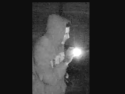CCSO Security Camera Footage of July 30 2020 Burglary