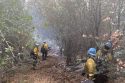 CalfireCCC
