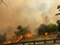 O'Reilly Incident fire in Angels Camp
