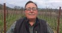 Stephen Collum Vineyard Concepts Founder