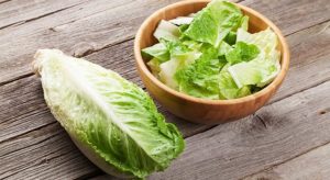 Growing Lettuce In A Home Garden