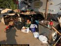 CCSO illegal marijuana grow bust