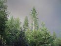 Smoke in Yosemite area