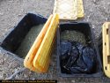 CCSO Pot grow bust
