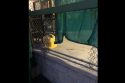 Cut out fence where the generator was stolen from at the Sonora Senior Center