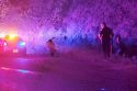 Dirt bike rider being arrested after chase